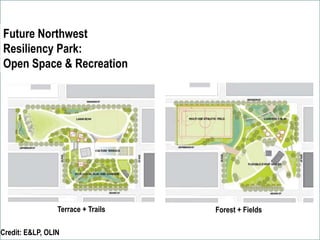Future Northwest
Resiliency Park:
Open Space & Recreation
Credit: E&LP, OLIN
Terrace + Trails Forest + Fields
 