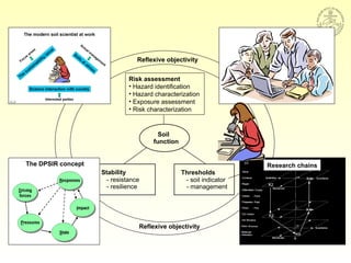 Soil
function
Stability
- resistance
- resilience
Thresholds
- soil indicator
- management
But not indexed!
Reflexive objectivity
Reflexive objectivity
The DPSIR concept Research chains
Risk assessment
• Hazard identification
• Hazard characterization
• Exposure assessment
• Risk characterization
 