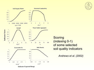 Scoring
(indexing 0-1)
of some selected
soil quality indicators
Andrews et al. (2002)
 