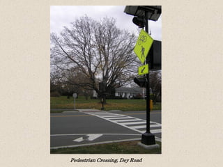 Pedestrian Crossing, Dey Road

 