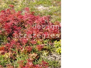 design
strategies
 