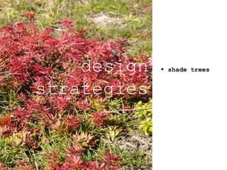  shade treesdesign
strategies
 