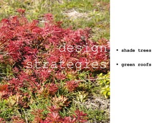  shade trees
 green roofs
design
strategies
 