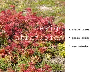  shade trees
 green roofs
 eco labels
design
strategies
 