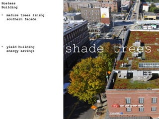 shade trees
Hostess
Building
• mature trees lining
southern facade
• yield building
energy savings
 