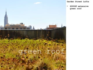 green roof
Garden Street Lofts
• 6000SF extensive
green roof
 