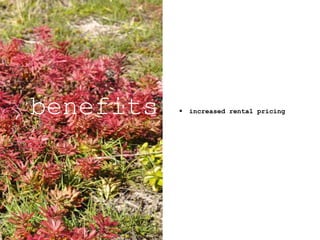  increased rental pricingbenefits
 