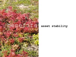 asset stabilitybenefits
 