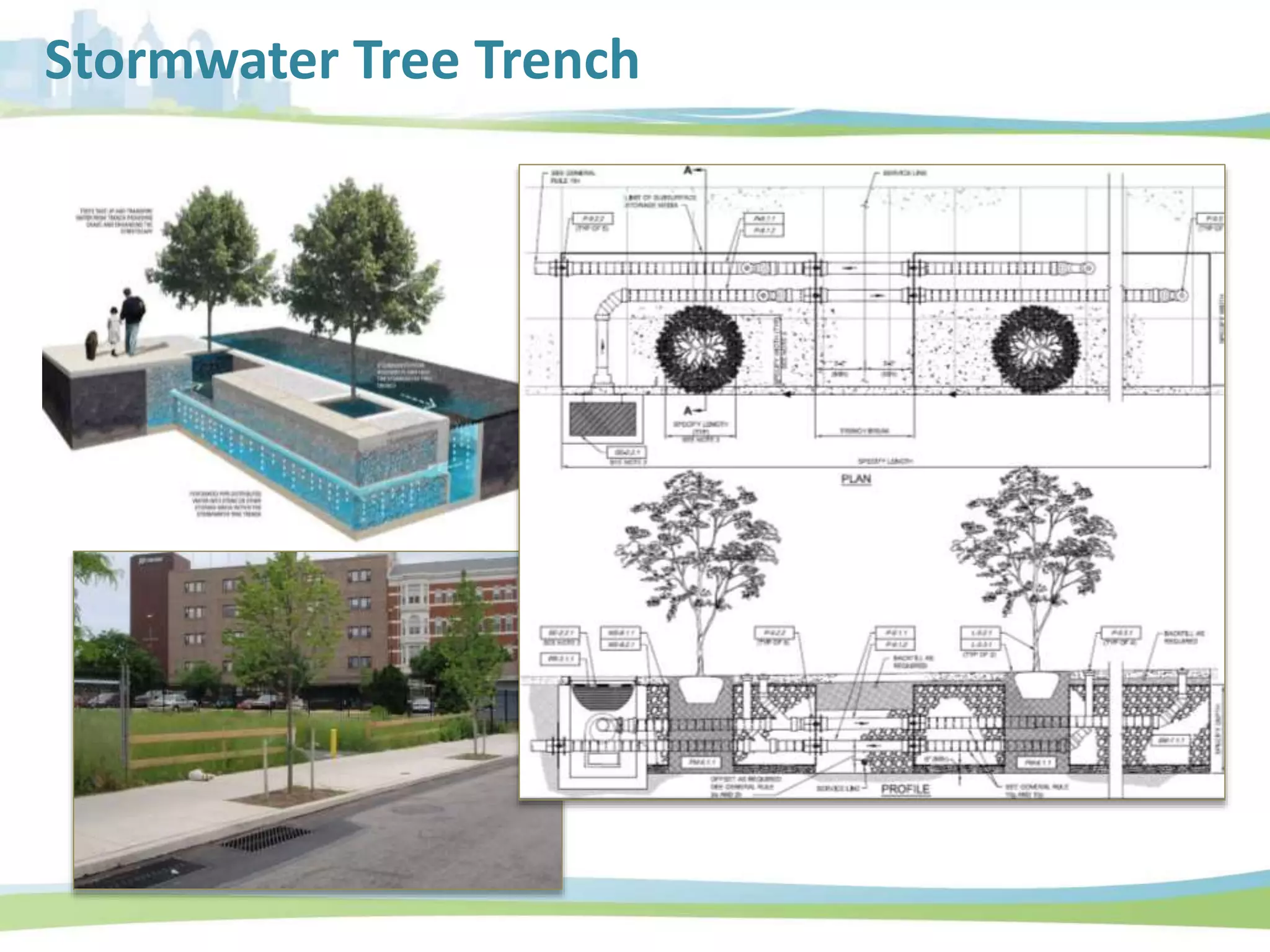 Stormwater Tree Trench
 