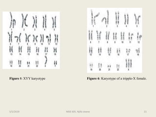 Figure 5: XYY karyotype Figure 6: Karyotype of a tripple-X female.
MDE 605. Njilla steeve 215/5/2019
 