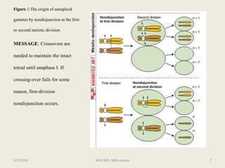 Figure 1:The origin of aneuploid
gametes by nondisjunction at the first
or second meiotic division
MESSAGE: Crossovers are
needed to maintain the intact
tetrad until anaphase I. If
crossing-over fails for some
reason, first-division
nondisjunction occurs.
MDE 605. Njilla steeve 75/5/2019
 