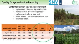 Forage crop & cutting
stage
NDF
g/kg
DM
CP
g/kg
DM
DMI
kg/day
Milk
l/day
MAFC
KES/c/day
CH4
g/l
Napier > 120 cm 681 4.2 10.5 1.3 0 261
Napier < 60 cm low CP 630 12.5 11.3 6.4 115 51
Napier & Maize bran 553 13.5 13.0 12.1 241 26
Better for farmer, cow and environment
• higher Feed Efficiency (kg milk/kg DM)
• increased milk production per cow
• higher margin above feed cost
• lower enteric CH4 emission per liter milk
• balanced ration
Quality forage and ration balancing
(Source: NEADAP Forage Quick Scan, 2019)
11
 