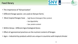 Feed library
• The importance of ‘Kenyanization’
• Different forage species are used on Kenyan farms
• Most tropical forages have - high Neutral Detergent Fibre content
- low digestibility
- low protein content
• Within Kenya - Different Agro Ecological Zones
• Effect of agronomical practices on the nutrient content of forages
• Agro – Industrial by-products which are unique in countries with tropical climate
3
 