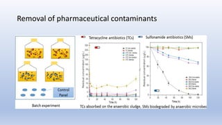 Removal of pharmaceutical contaminants
 