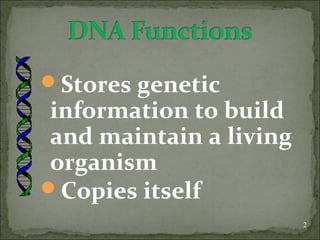 Stores genetic 
information to build 
and maintain a living 
organism 
Copies itself 
2 
 