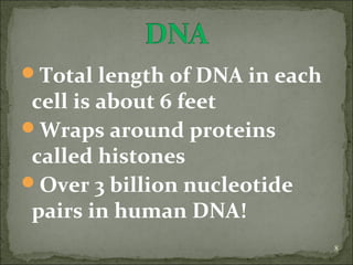Total length of DNA in each 
cell is about 6 feet 
Wraps around proteins 
called histones 
Over 3 billion nucleotide 
pairs in human DNA! 
8 
 