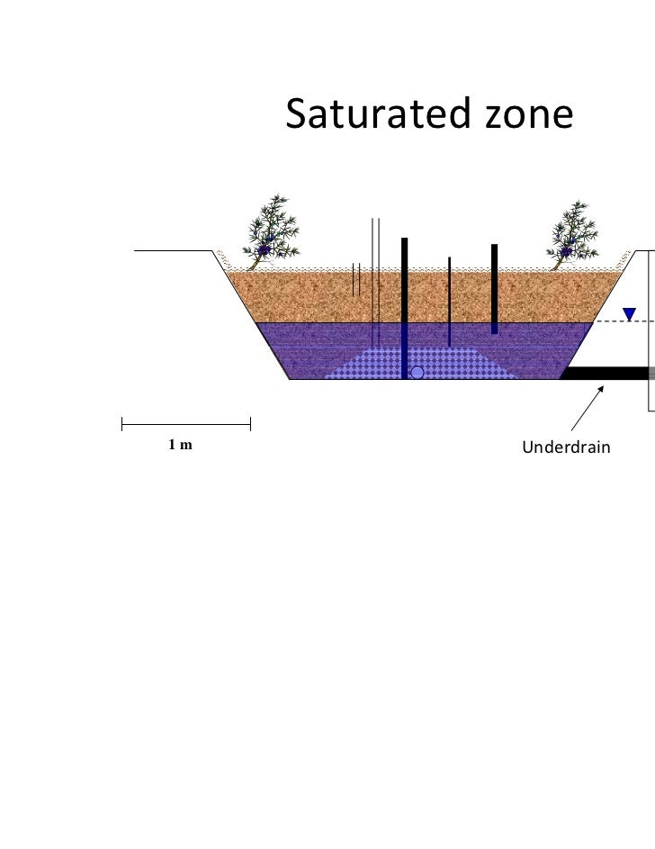 NJ Rain Garden Research