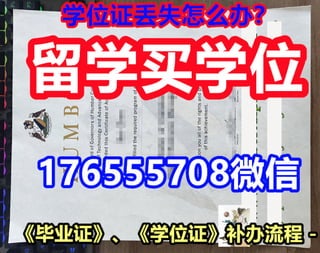 留学生伦敦南岸大学毕业证大学文凭学历证书