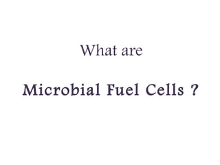 What are 
Microbial Fuel Cells ?
 