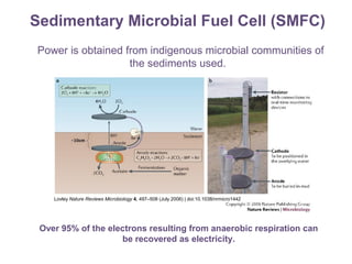 Sedimentary Microbial Fuel Cell (SMFC)
Power is obtained from indigenous microbial communities of
the sediments used.
Over 95% of the electrons resulting from anaerobic respiration can
be recovered as electricity.
Lovley Nature Reviews Microbiology 4, 497–508 (July 2006) | doi:10.1038/nrmicro1442
 