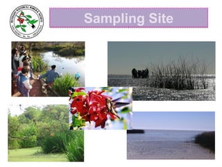 Sampling SiteSampling Site
 