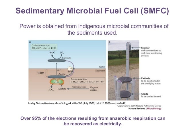 Microbial fuel cell