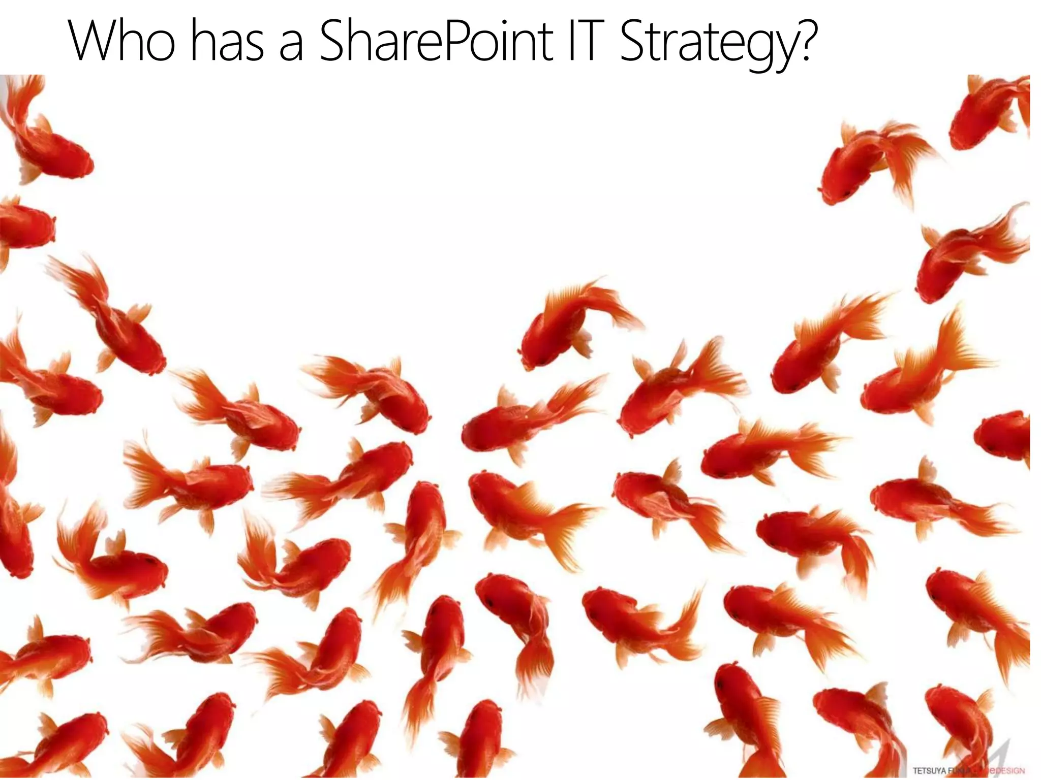 Who has a SharePoint IT Strategy?
 