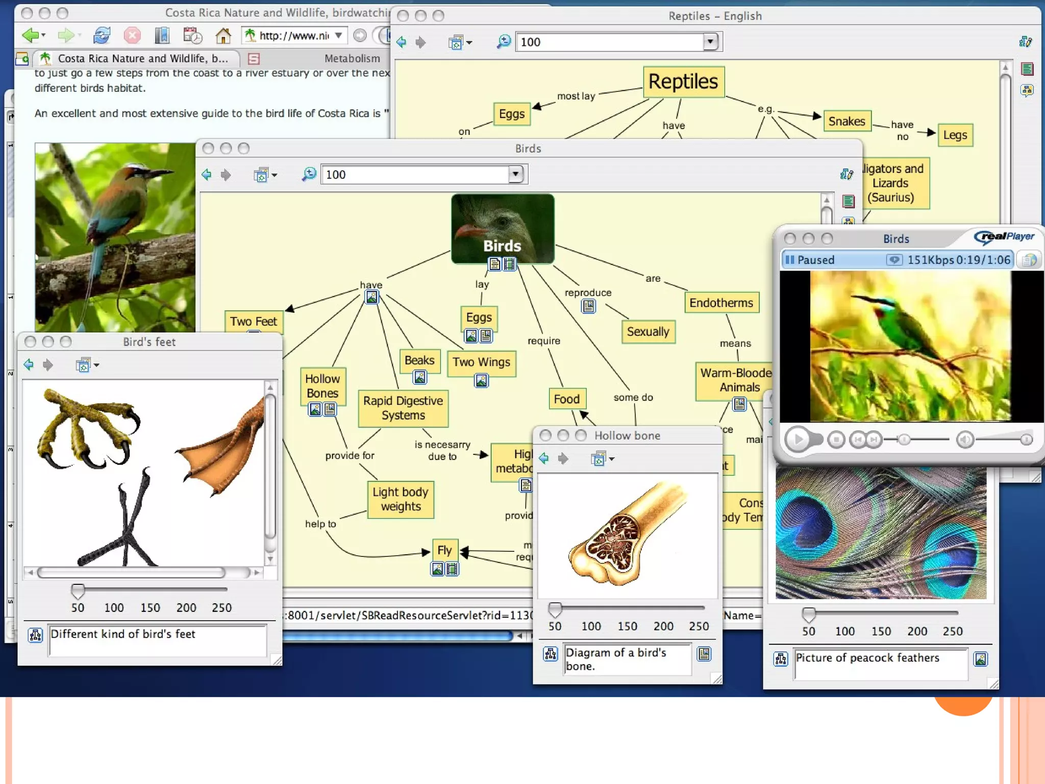 Njtesol 09: Maps Math Music Media