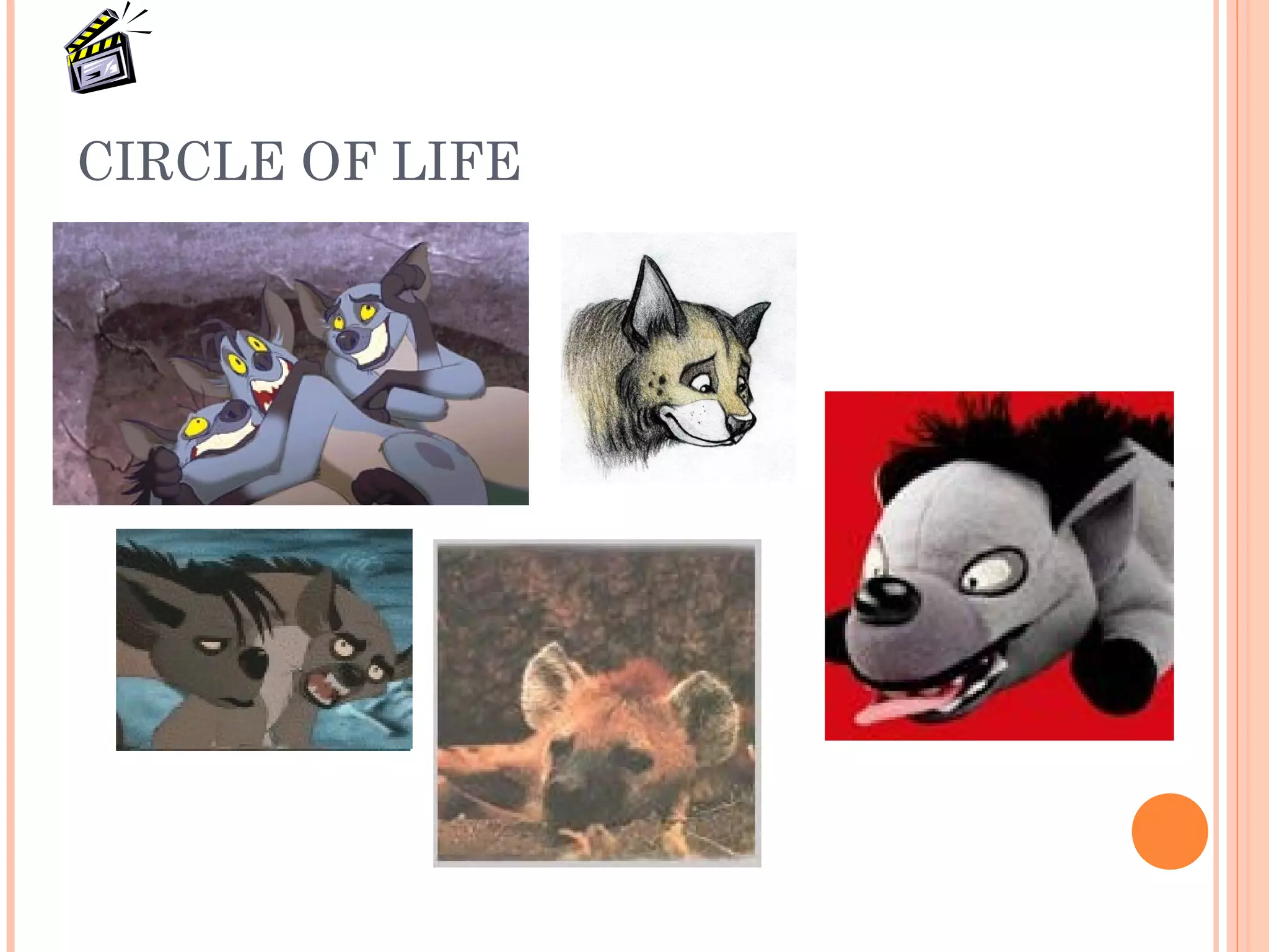 CIRCLE OF LIFE
 
