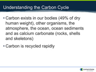 Understanding the Carbon Cycle
• Carbon exists in our bodies (49% of dry
human weight), other organisms, the
atmosphere, the ocean, ocean sediments
and as calcium carbonate (rocks, shells
and skeletons)
• Carbon is recycled rapidly
 