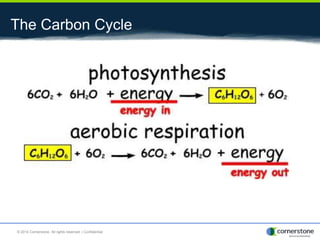The Carbon Cycle
© 2014 Cornerstone. All rights reserved. | Confidential
 