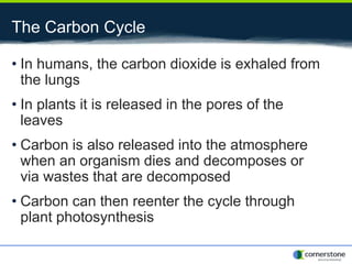 The Carbon Cycle
• In humans, the carbon dioxide is exhaled from
the lungs
• In plants it is released in the pores of the
leaves
• Carbon is also released into the atmosphere
when an organism dies and decomposes or
via wastes that are decomposed
• Carbon can then reenter the cycle through
plant photosynthesis
 