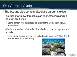 The Carbon Cycle
• The oceans also contain dissolved carbon dioxide
• Carbon may move through algae to crustaceans and up
the fish food chain
• Some carbon will be released back into the water from cellular
respiration
• Carbon may be retained in the shells of clams, oysters and
corals
• Large quantities of carbon are locked up in coral reefs (the Great
Barrier Reef off of Australia)
 