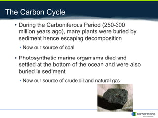 The Carbon Cycle
• During the Carboniferous Period (250-300
million years ago), many plants were buried by
sediment hence escaping decomposition
• Now our source of coal
• Photosynthetic marine organisms died and
settled at the bottom of the ocean and were also
buried in sediment
• Now our source of crude oil and natural gas
 