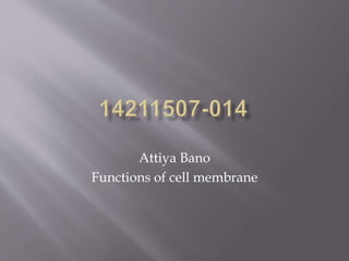 Attiya Bano
Functions of cell membrane
 