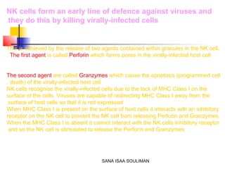 SANA ISAA SOULIMAN
NK cells form an early line of defence against viruses and
they do this by killing virally-infected cells.
This is achieved by the release of two agents contained within granules in the NK cell.
The first agent is called Perforin which forms pores in the virally-infected host cell.
The second agent are called Granzymes which cause the apoptosis (programmed cell
death) of the virally-infected host cell.
NK cells recognise the virally-infected cells due to the lack of MHC Class I on the
surface of the cells. Viruses are capable of redirecting MHC Class I away from the
surface of host cells so that it is not expressed.
When MHC Class I is present on the surface of host cells it interacts with an inhibitory
receptor on the NK cell to prevent the NK cell from releasing Perforin and Granzymes.
When the MHC Class I is absent it cannot interact with the NK cells inhibitory receptor
and so the NK cell is stimulated to release the Perforin and Granzymes
 