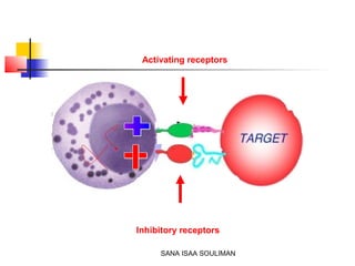 SANA ISAA SOULIMAN
Activating receptors
Inhibitory receptors
 
