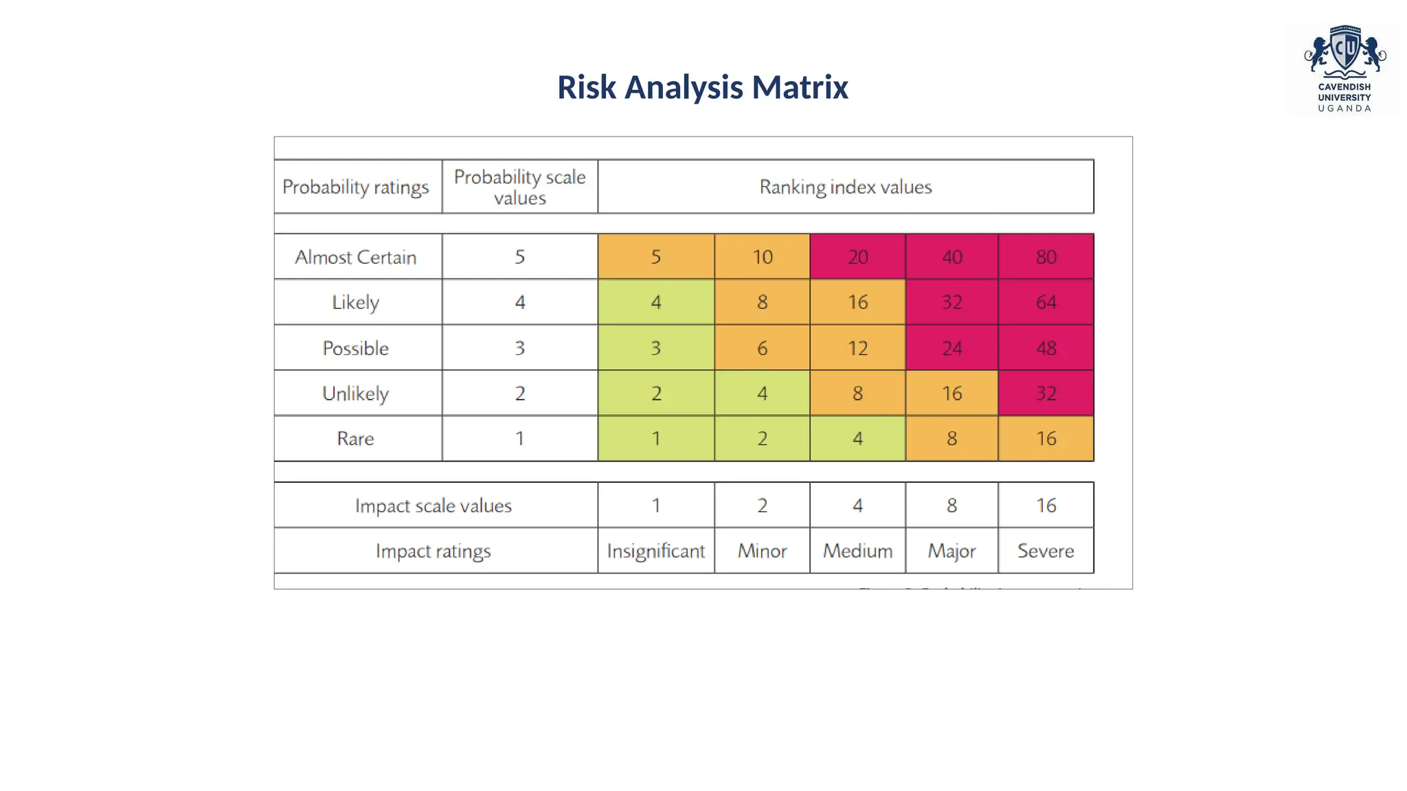 Risk Analysis Matrix
 