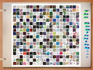 Complex Adaptive Systems and Communities