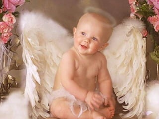 Nkhhc (nx power lite)