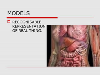 MODELS
 RECOGNISABLE
REPRESENTATION
OF REAL THING.
 