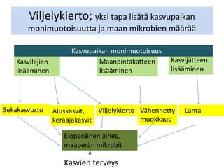 Viljelykierto; yksi tapa lisätä kasvupaikan
monimuotoisuutta ja maan mikrobien määrää
Kasvilajien
lisääminen
Maanpintakatteen
lisääminen
Kasvijätteen
lisääminen
Sekakasvusto Aluskasvit,
kerääjäkasvit
Viljelykierto Vähennetty
muokkaus
Lanta
Eloperäinen aines,
maaperän mikrobit
Kasvien terveys
Kasvupaikan monimuotoisuus
 