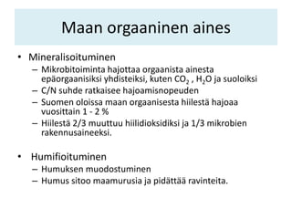 Maan orgaaninen aines
• Mineralisoituminen
– Mikrobitoiminta hajottaa orgaanista ainesta
epäorgaanisiksi yhdisteiksi, kuten CO2 , H2O ja suoloiksi
– C/N suhde ratkaisee hajoamisnopeuden
– Suomen oloissa maan orgaanisesta hiilestä hajoaa
vuosittain 1 - 2 %
– Hiilestä 2/3 muuttuu hiilidioksidiksi ja 1/3 mikrobien
rakennusaineeksi.
• Humifioituminen
– Humuksen muodostuminen
– Humus sitoo maamurusia ja pidättää ravinteita.
 