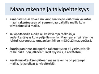 Maan rakenne ja talvipeitteisyys
• Kanadalaisessa kokeessa vuodenaikojen vaihtelun vaikutus
maan rakenteeseen oli suurempaa paljailla mailla kuin
talvipeitteisillä mailla.
• Talvipeitteisillä aloilla oli kestävämpi raekoko ja
vedenkestävyys kuin paljailla mailla. Maan parempi rakenne
johtui kasvaneesta orgaanisen hiilen määrästä maaperässä.
• Suurin parannus maaperän rakenteeseen oli yksivuotisella
raiheinällä. Sen jälkeen tulivat syysruis ja kevätohra.
• Kevätmuokkauksen jälkeen maan rakenne oli parempi
mailla, jotka olivat talvipeitteisiä.
 