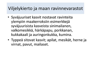 Viljelykierto ja maan ravinnevarastot
• Syväjuuriset kasvit nostavat ravinteita
ylempiin maakerroksiin esimerkkejä
syväjuurisista kasveista sinimailanen,
valkomesikkä, härkäpapu, porkkanan,
kukkakaali ja auringonkukka, kumina.
• Typpeä sitovat kasvit; apilat, mesikät, herne ja
virnat, pavut, mailaset.
 