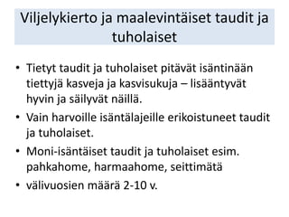 Viljelykierto ja maalevintäiset taudit ja
tuholaiset
• Tietyt taudit ja tuholaiset pitävät isäntinään
tiettyjä kasveja ja kasvisukuja – lisääntyvät
hyvin ja säilyvät näillä.
• Vain harvoille isäntälajeille erikoistuneet taudit
ja tuholaiset.
• Moni-isäntäiset taudit ja tuholaiset esim.
pahkahome, harmaahome, seittimätä
• välivuosien määrä 2-10 v.
 