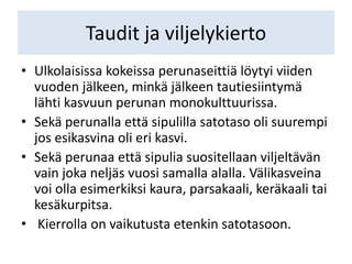 Taudit ja viljelykierto
• Ulkolaisissa kokeissa perunaseittiä löytyi viiden
vuoden jälkeen, minkä jälkeen tautiesiintymä
lähti kasvuun perunan monokulttuurissa.
• Sekä perunalla että sipulilla satotaso oli suurempi
jos esikasvina oli eri kasvi.
• Sekä perunaa että sipulia suositellaan viljeltävän
vain joka neljäs vuosi samalla alalla. Välikasveina
voi olla esimerkiksi kaura, parsakaali, keräkaali tai
kesäkurpitsa.
• Kierrolla on vaikutusta etenkin satotasoon.
 