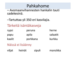 Pahkahome
– Avomaanvihannesten hankalin tauti
sadekesinä.
–Tartuttaa yli 350 eri kasvilajia.
Tärkeitä isäntäkasveja
rypsi peruna herne
papu apila salaatit
kaalit porkkana kurkku
Näissä ei lisäänny
viljat heinät sipuli mansikka
 