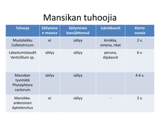 Mansikan tuhoojia
Tuhooja Säilymine
n maassa
Säilyminen
kasvijätteessä
Isäntäkasvit Kierto
vuosia
Mustalaikku
Colletotricum
ei säilyy kirsikka,
omena, rikat
2 v.
Lakastumistaudit
Verticillium sp.
säilyy säilyy peruna,
öljykasvit
6 v.
Mansikan
tyvimätä
Phytophtora
cactorum
säilyy säilyy 4-6 v.
Mansikka-
ankeroinen
Aphelenchus
ei säilyy - 2 v.
 