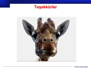 Prof.Dr. İbrahim USLU
Teşekkürler
 